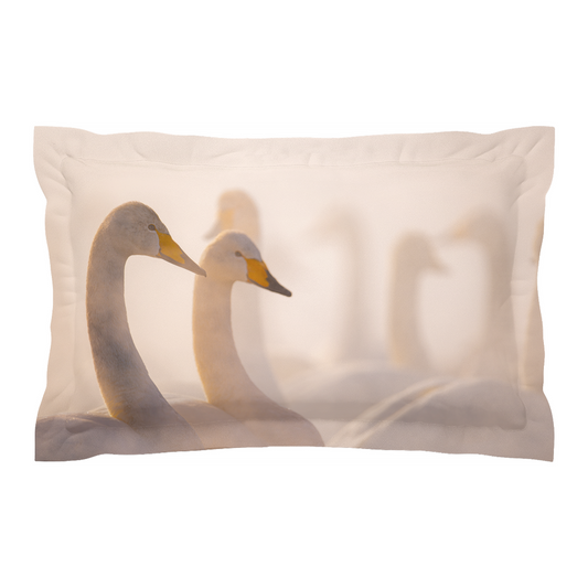 Pillow Cover - Swan Symphony (Right)