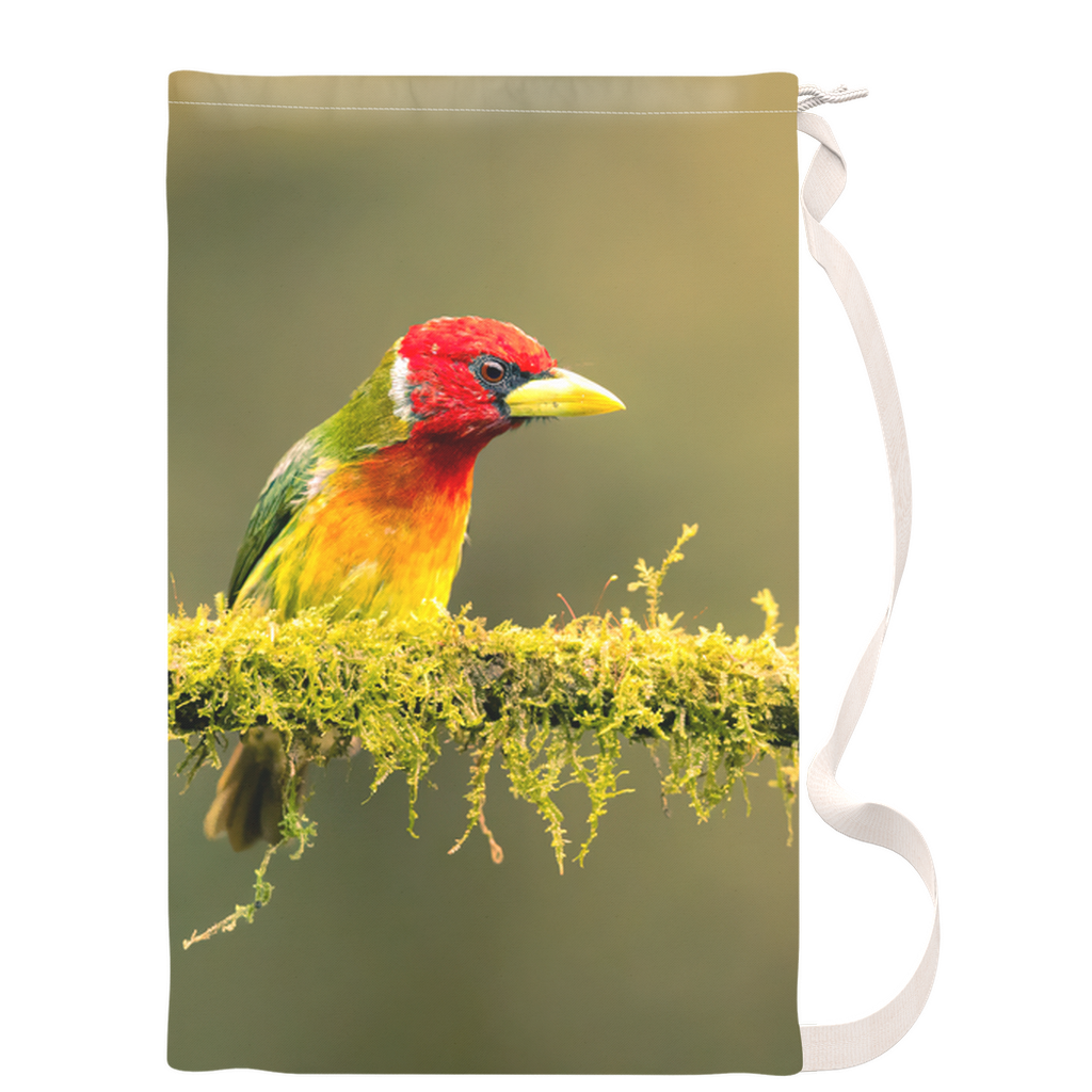 Laundry Bag - Barbet Duo