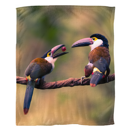 Fleece Blanket - Toucan Harmony