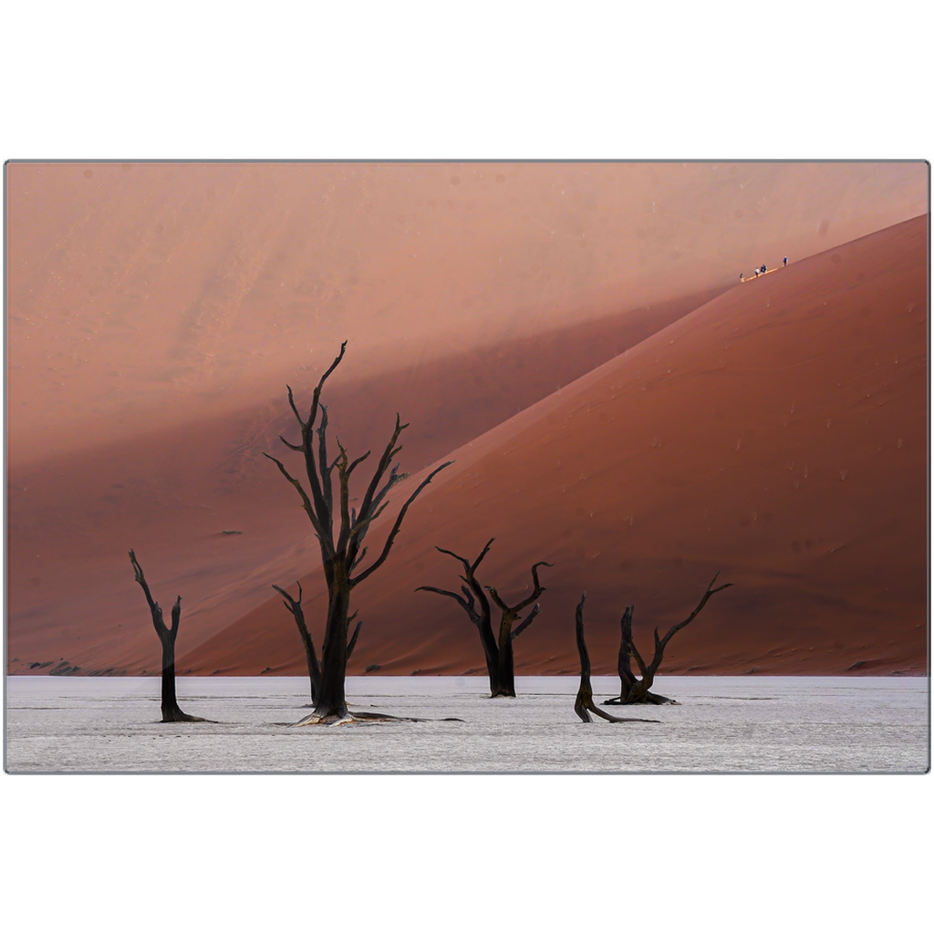 Metal Print - Traveler's Oasis