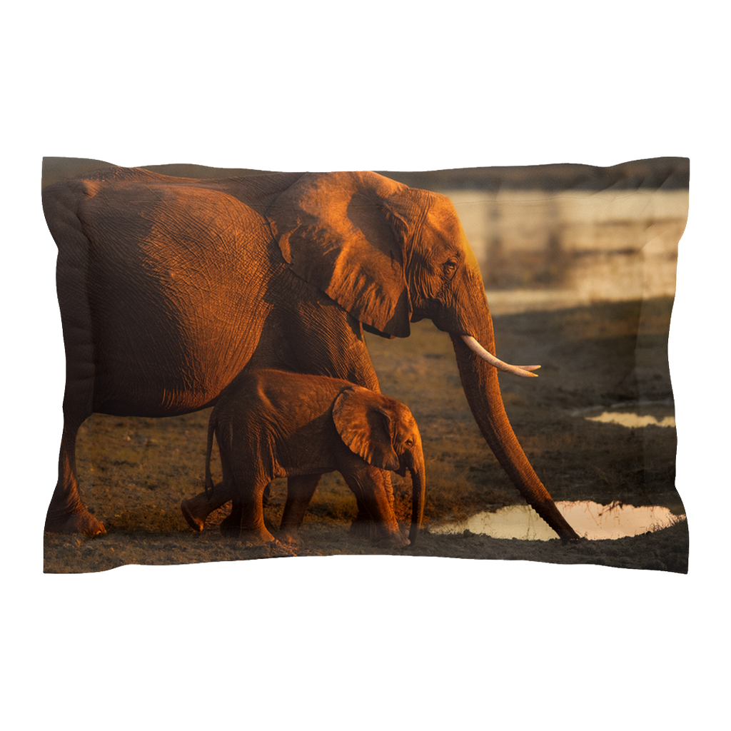 Pillow cover - Golden Bond (Left)