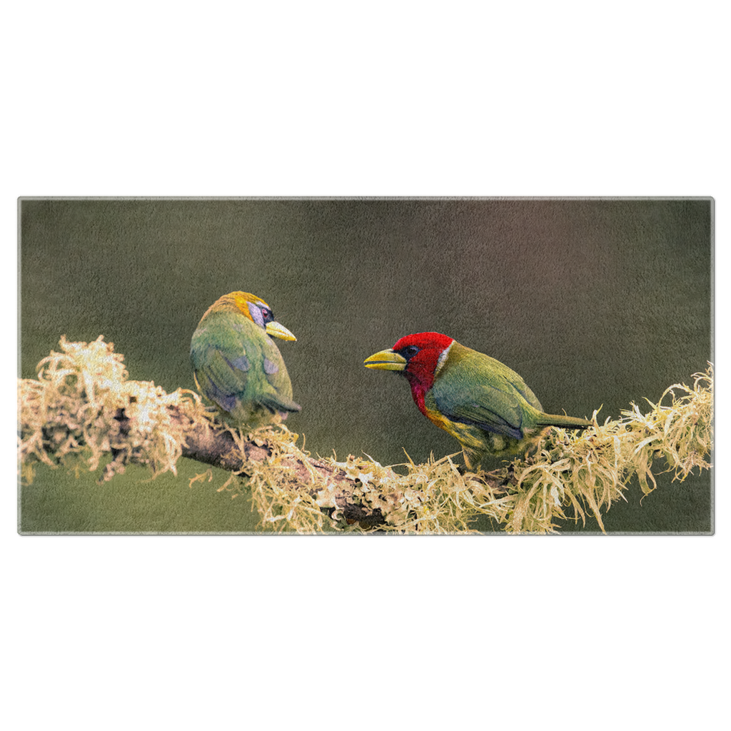 Beach Towel - Barbet Bond