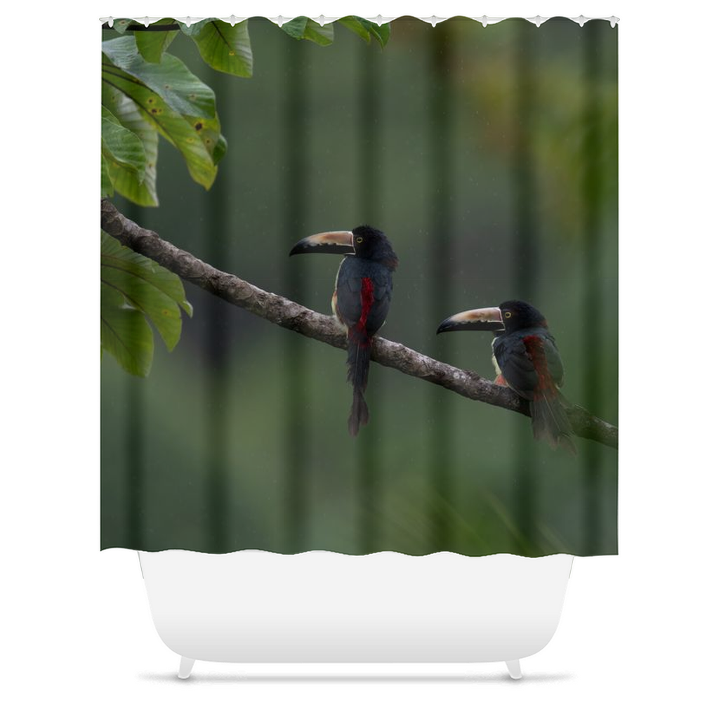 Shower Curtain - Tropical Oasis