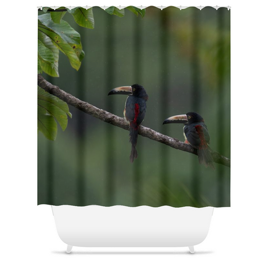 Shower Curtain - Tropical Oasis