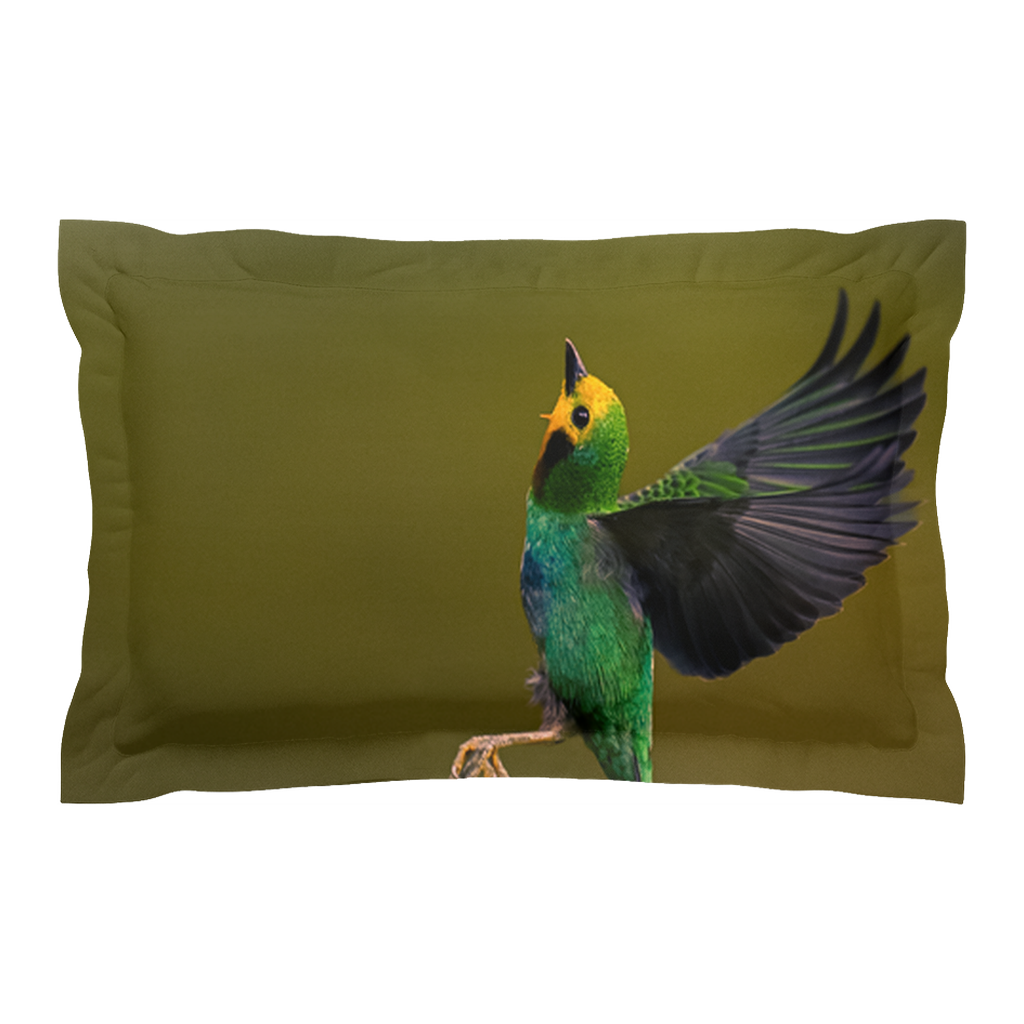 Pillow cover - Flight Harmony (Right)