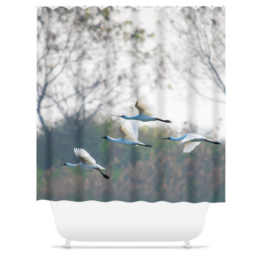 Shower curtain - Morning Flight