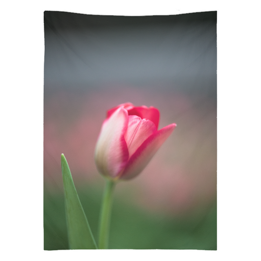 Tapestry - Tulip Serenity