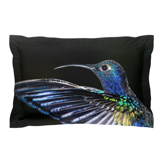 Pillow cover - Velvet Sabrewing (Right)