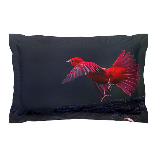 Pillow cover - Crimson Flight