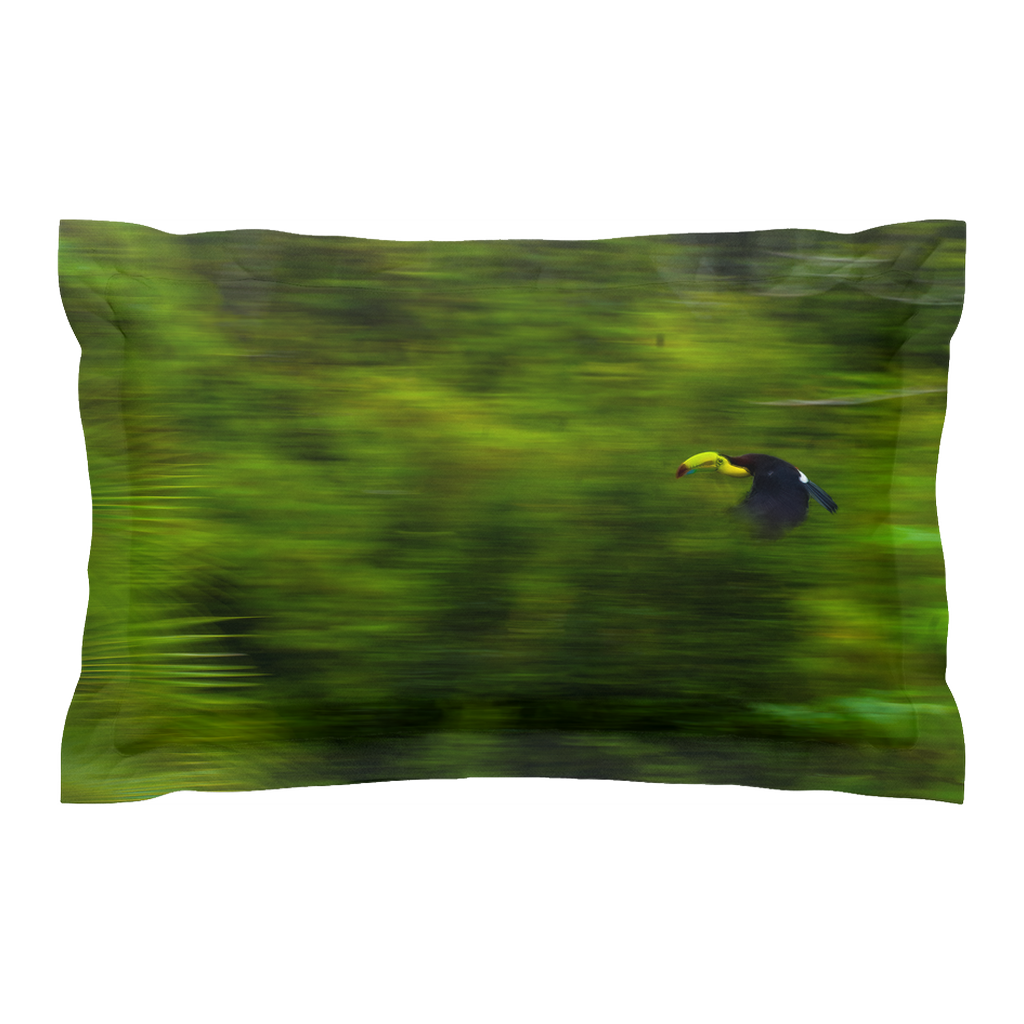 Pillow cover - Flight Fantasia (Right)