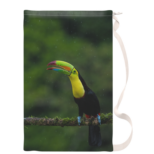 Laundry Bags - Rainforest Harmony