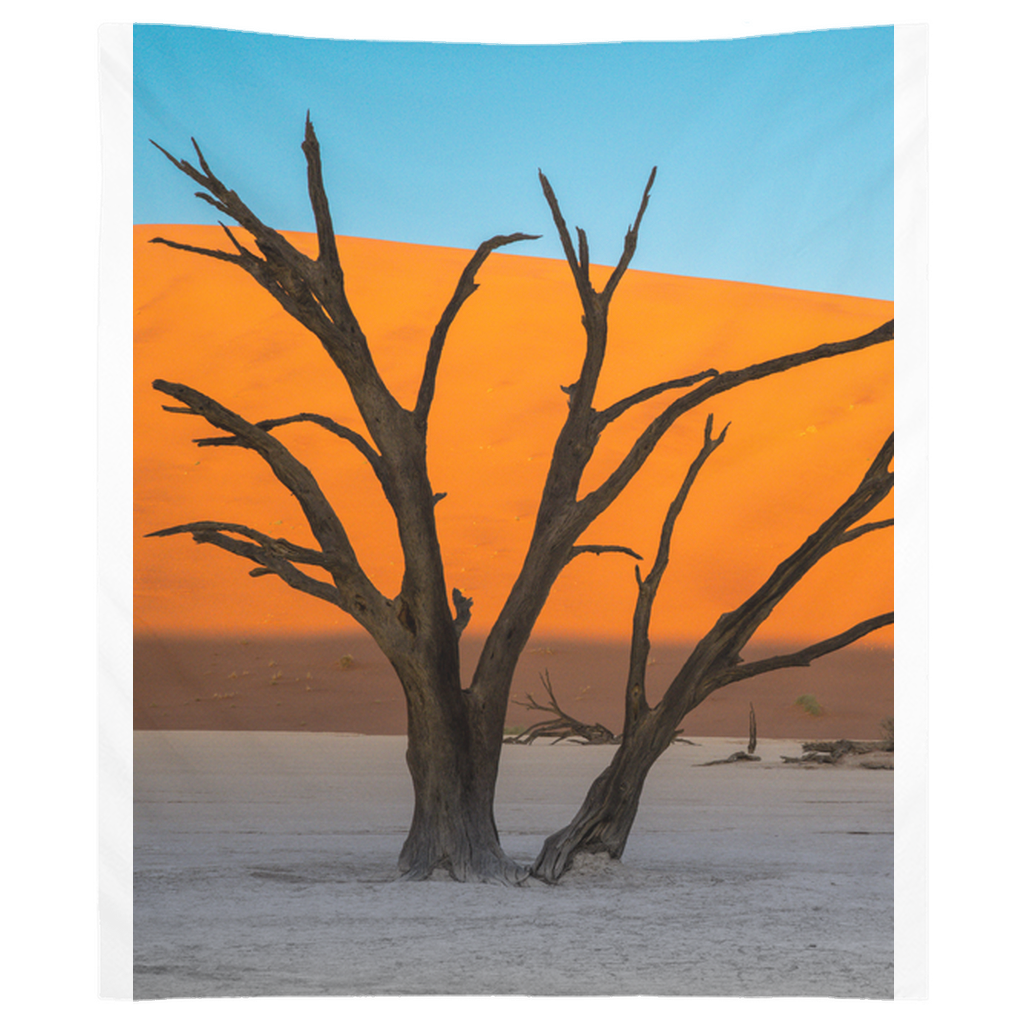 Tapestry - Deadvlei Harmony