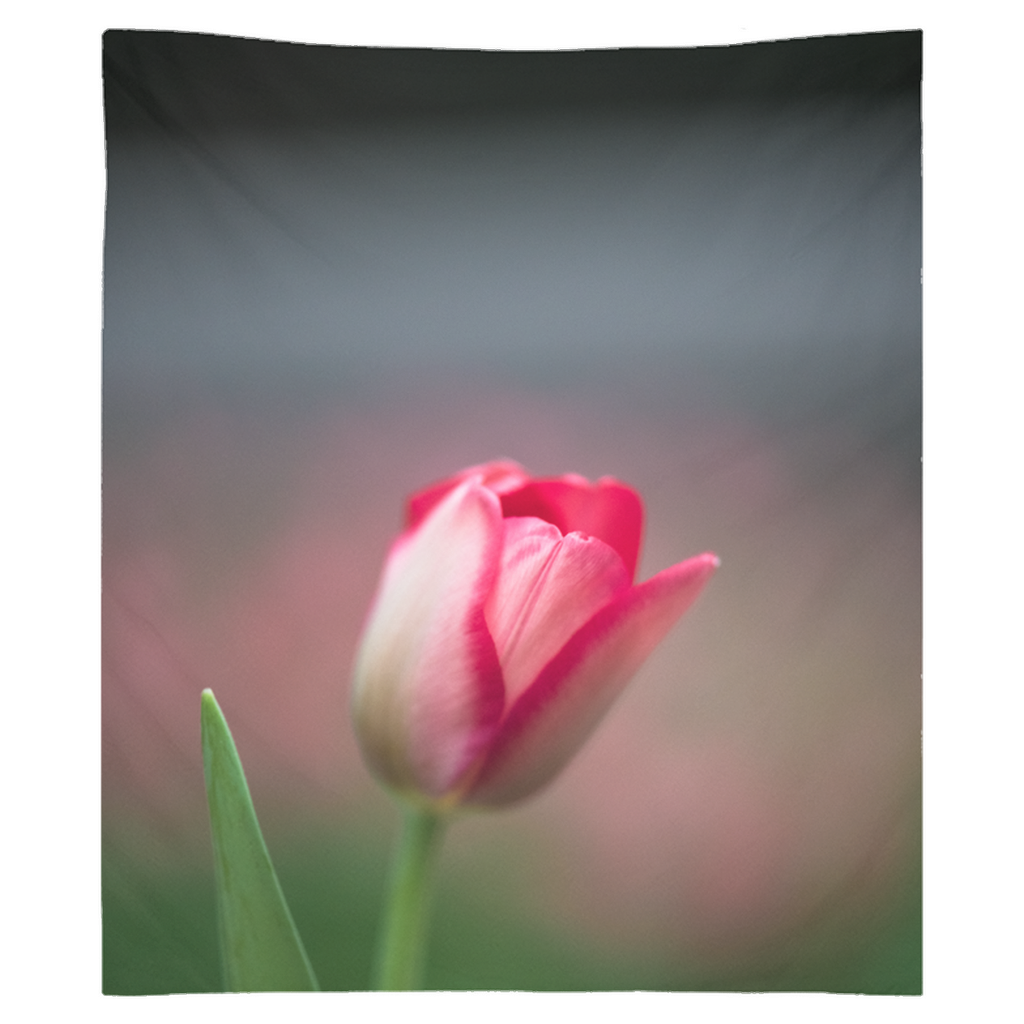 Tapestry - Tulip Serenity