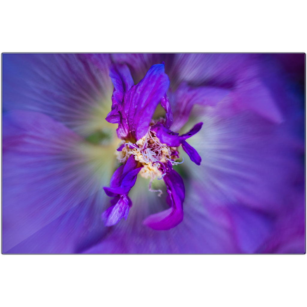 Metal Print - Purple Majesty