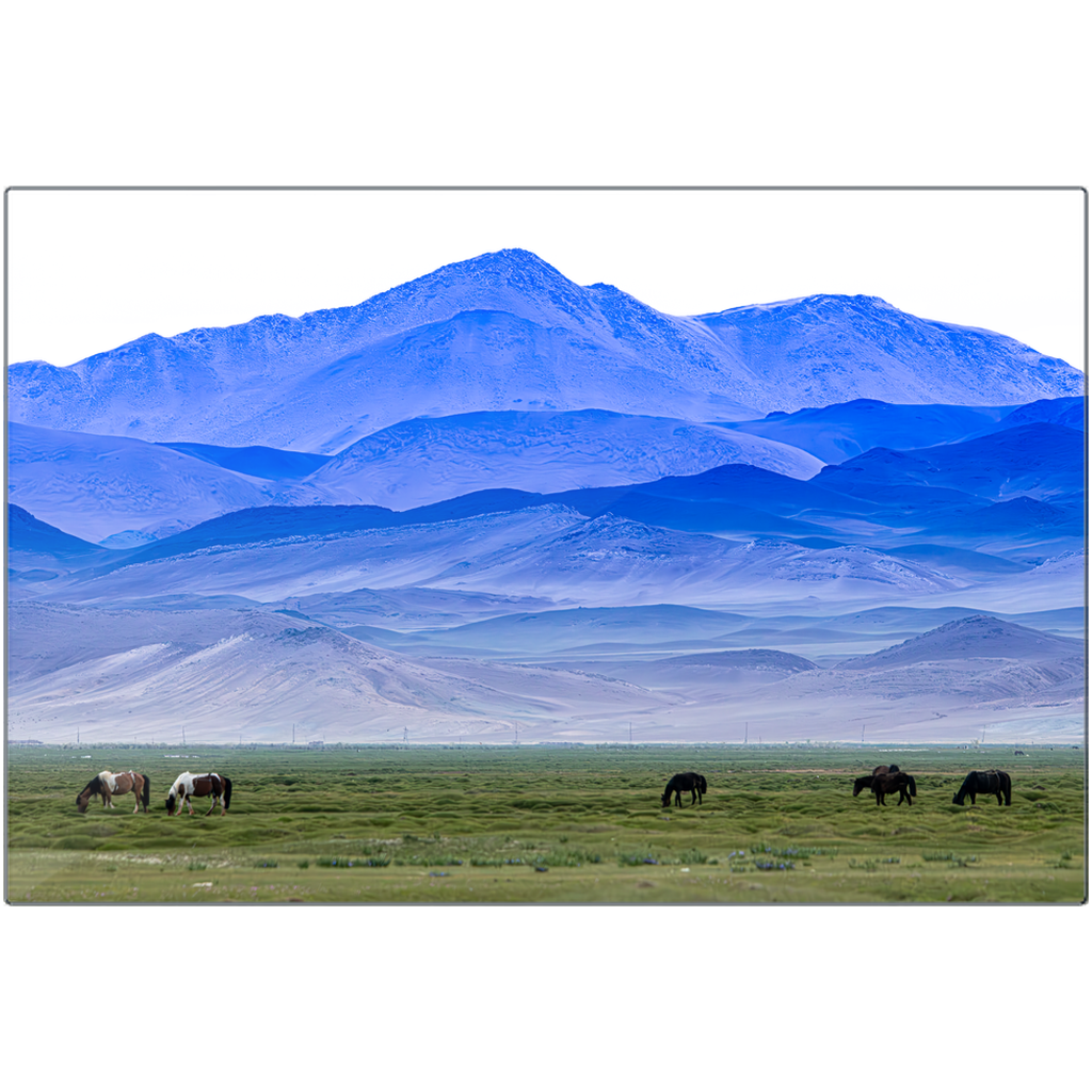 Metal print - Steppe Symphony