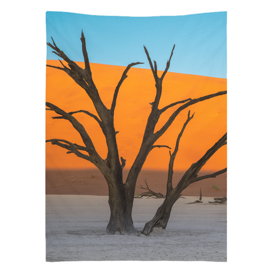 Tapestry - Deadvlei Harmony