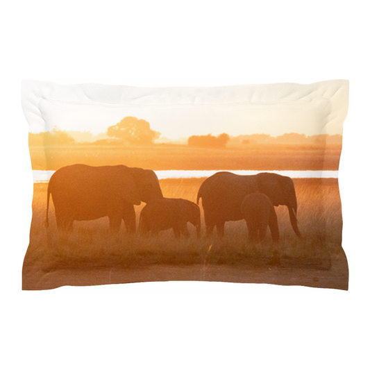 Pillow cover - Sunset Serenity (Left)
