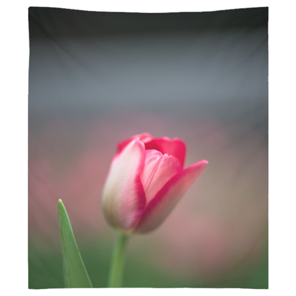 Tapestry - Tulip Serenity