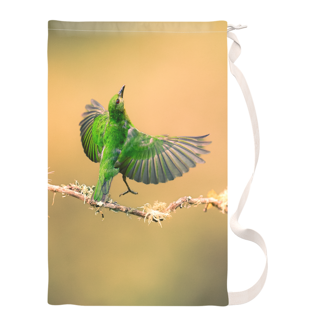 Laundry Bags - Avian Harmony