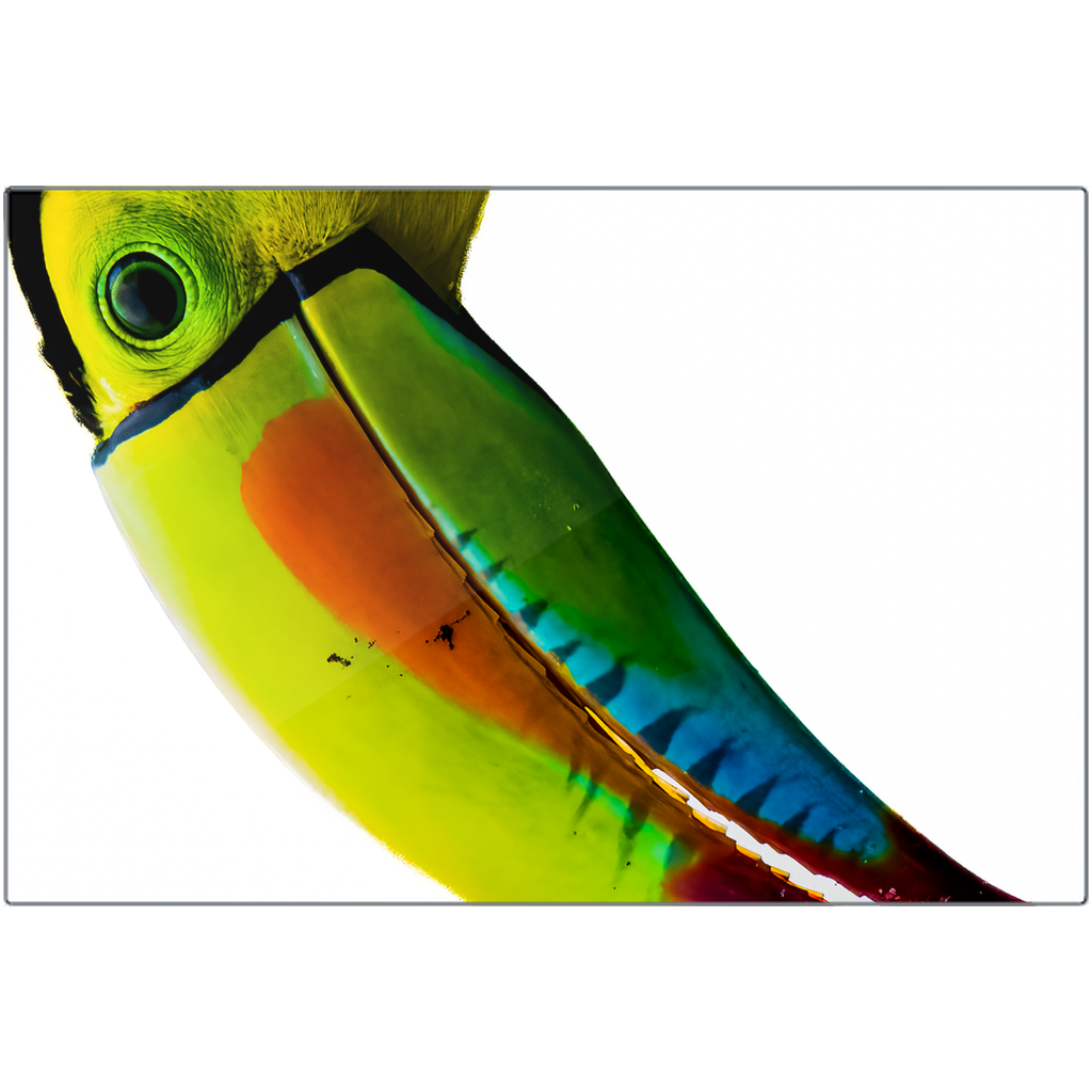 Metal Print - Prismatic Plumage