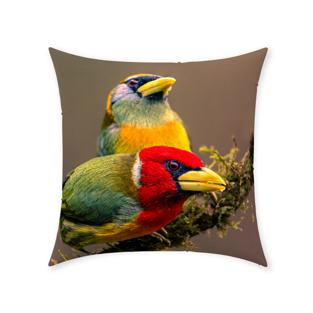 Pillow (Cotton) - Avian Harmony