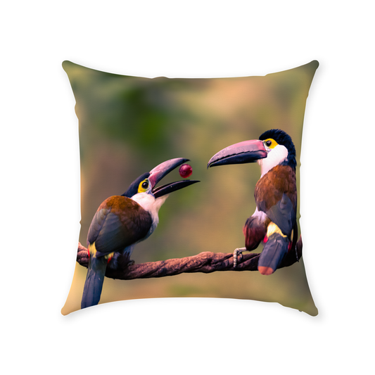 Pillow - Toucan Harmony & Mystical Encounter