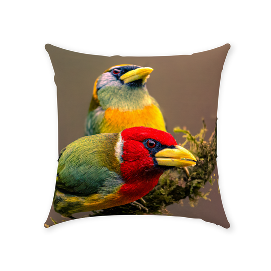 Pillow (Cotton) - Avian Harmony