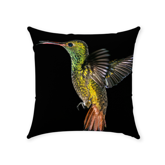Pillow - Radiant Hummingbird Duo
