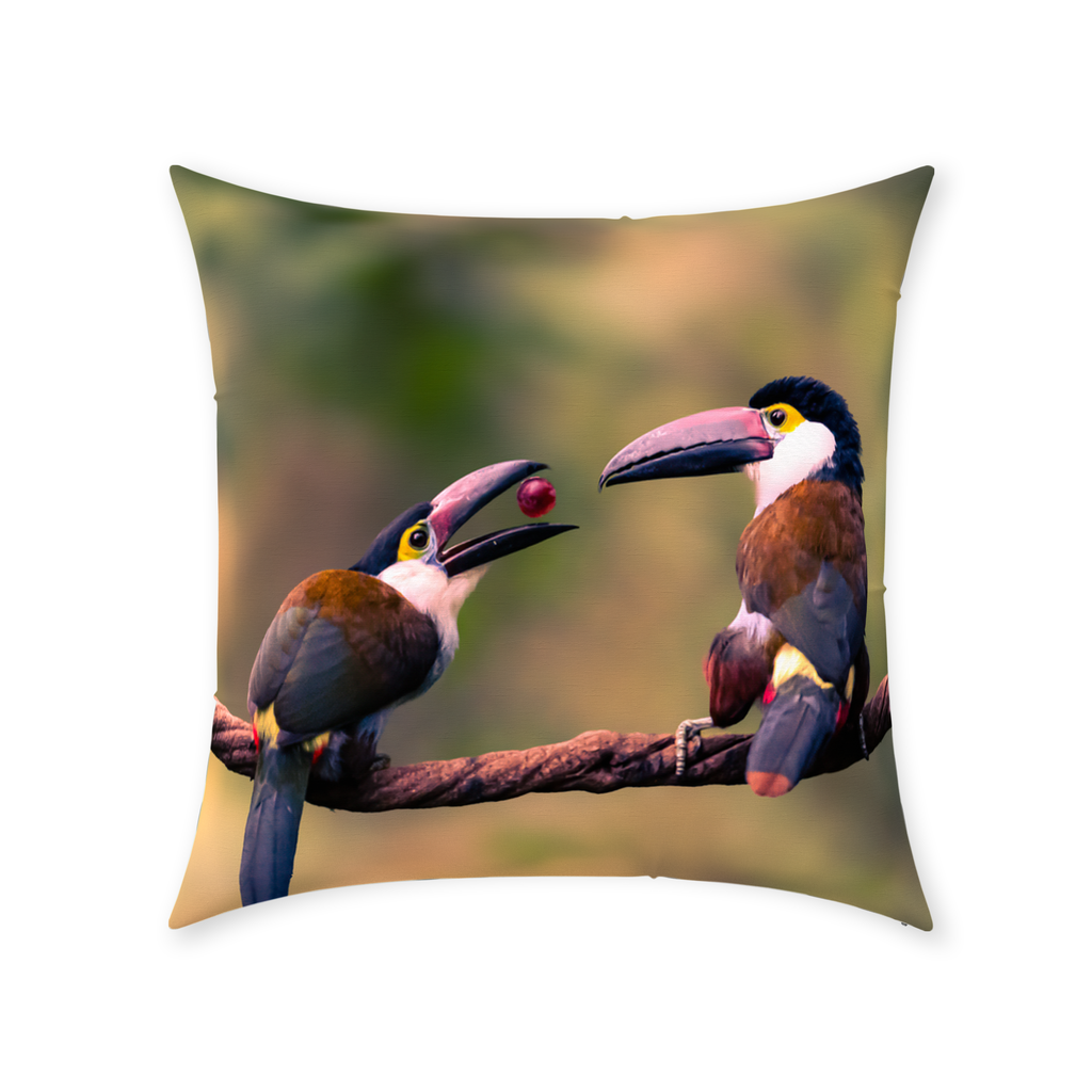 Pillow - Toucan Harmony & Mystical Encounter