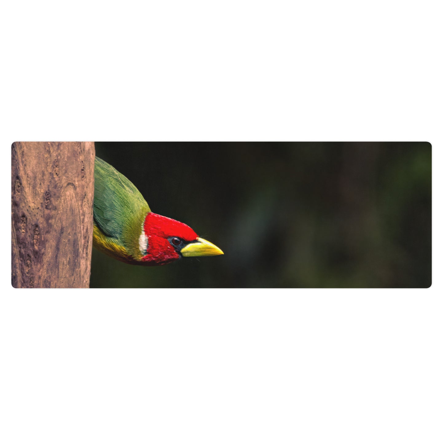 Vibrant Red Barbet Yoga Mat